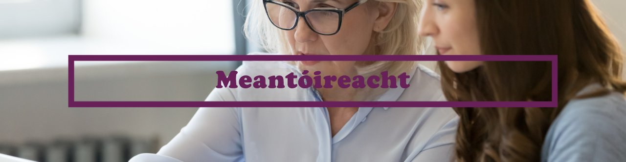 Meantóireacht